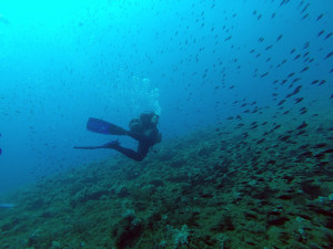 Grotta dei Gamberi