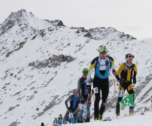 Adamello Ski Raid Junior 2015: Canclini Brida. Fonte: press evento