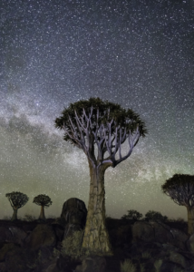 Beth Moon, Izar, 2013, stampa al platino palladio, 95x70, tratta dalla serie Diamond Nights © PH Neutro, Pietrasanta