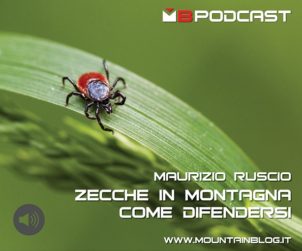 zecche in montagna