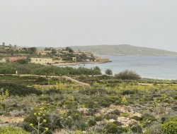 viaggio gozo malta