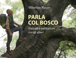 Parla col bosco - copertina