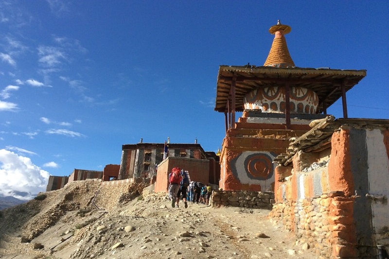 trekking mustang