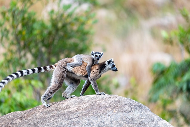 Viaggio in Madagascar