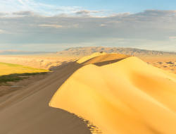 deserto del gobi